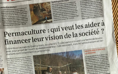 Nouvel article de la Dépêche du Midi sur l&rsquo;écoïncidence !